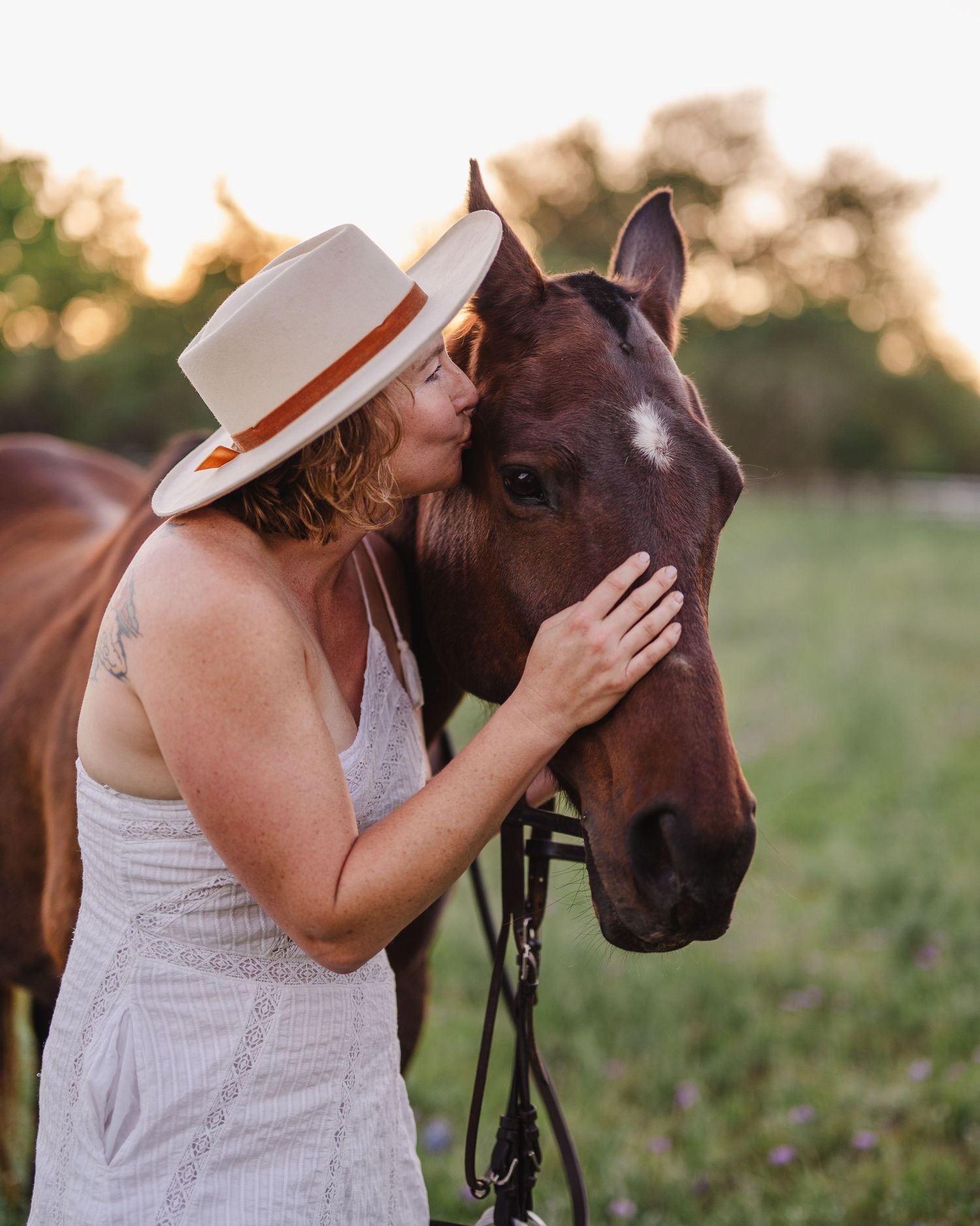 A tender moment between a person wearing a white dress and their brown horse in a golden field.