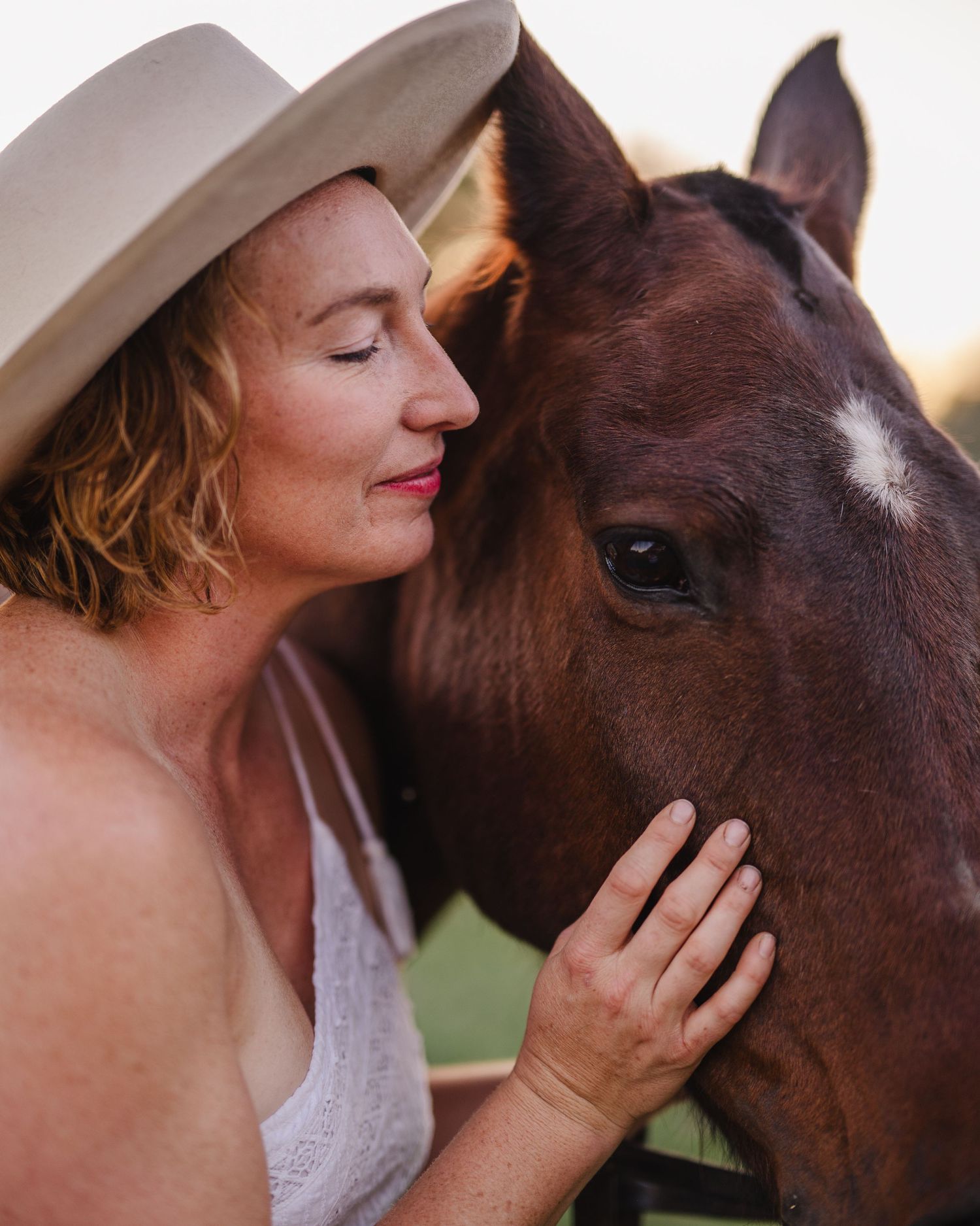 Close-up shots of intimate moments between a person and their beloved horse in warm sunlight.
