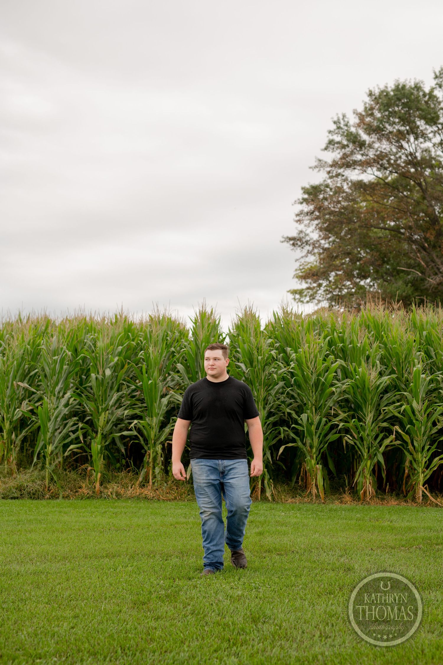 Someone walks through grassy field with tall cornfield in background on overcast day.