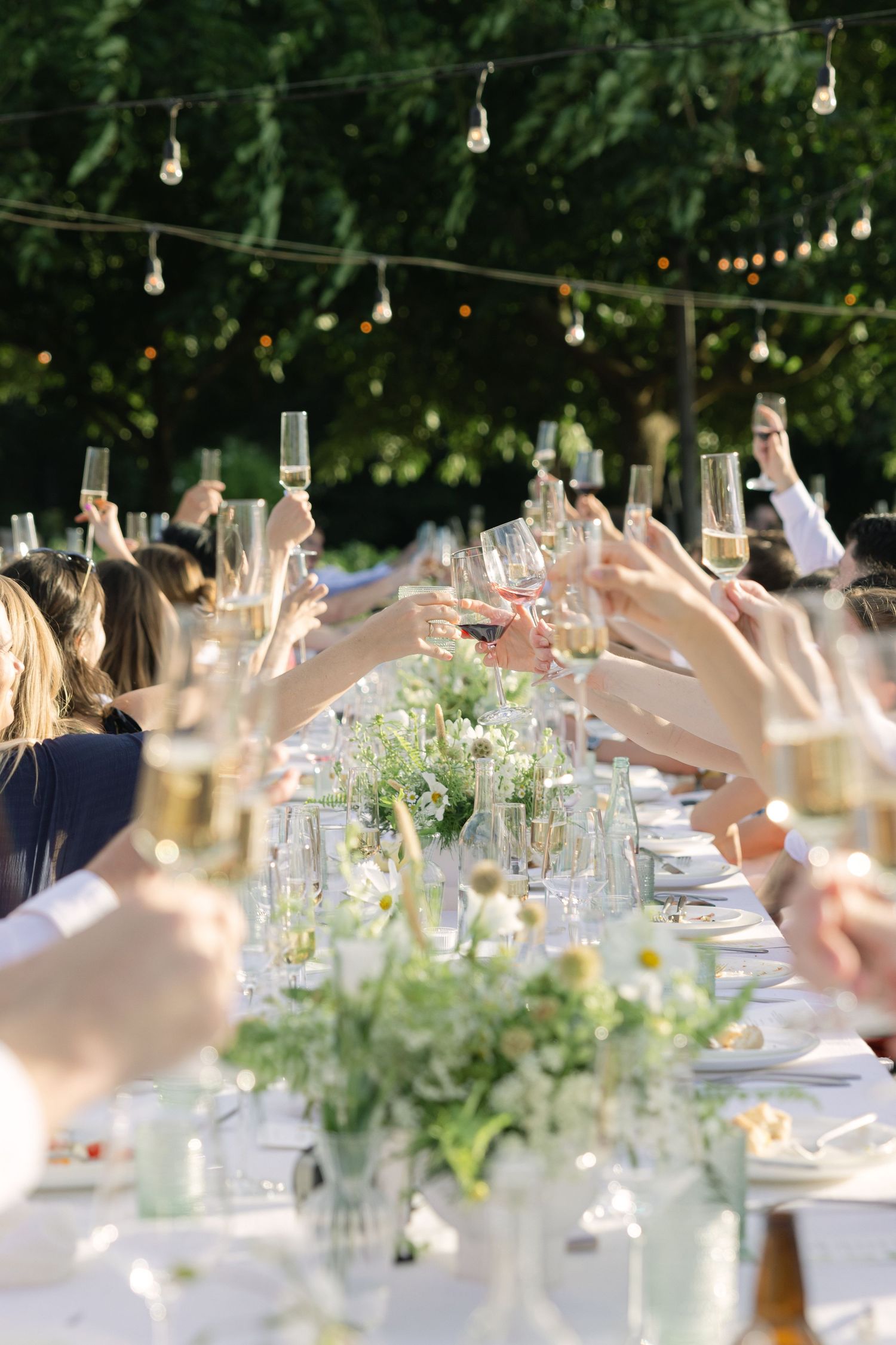 Wedding guests raise champagne glasses in a toast under hanging string lights and greenery.