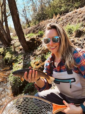 Brown Trout for days at Grumpy Bear in Bryson City