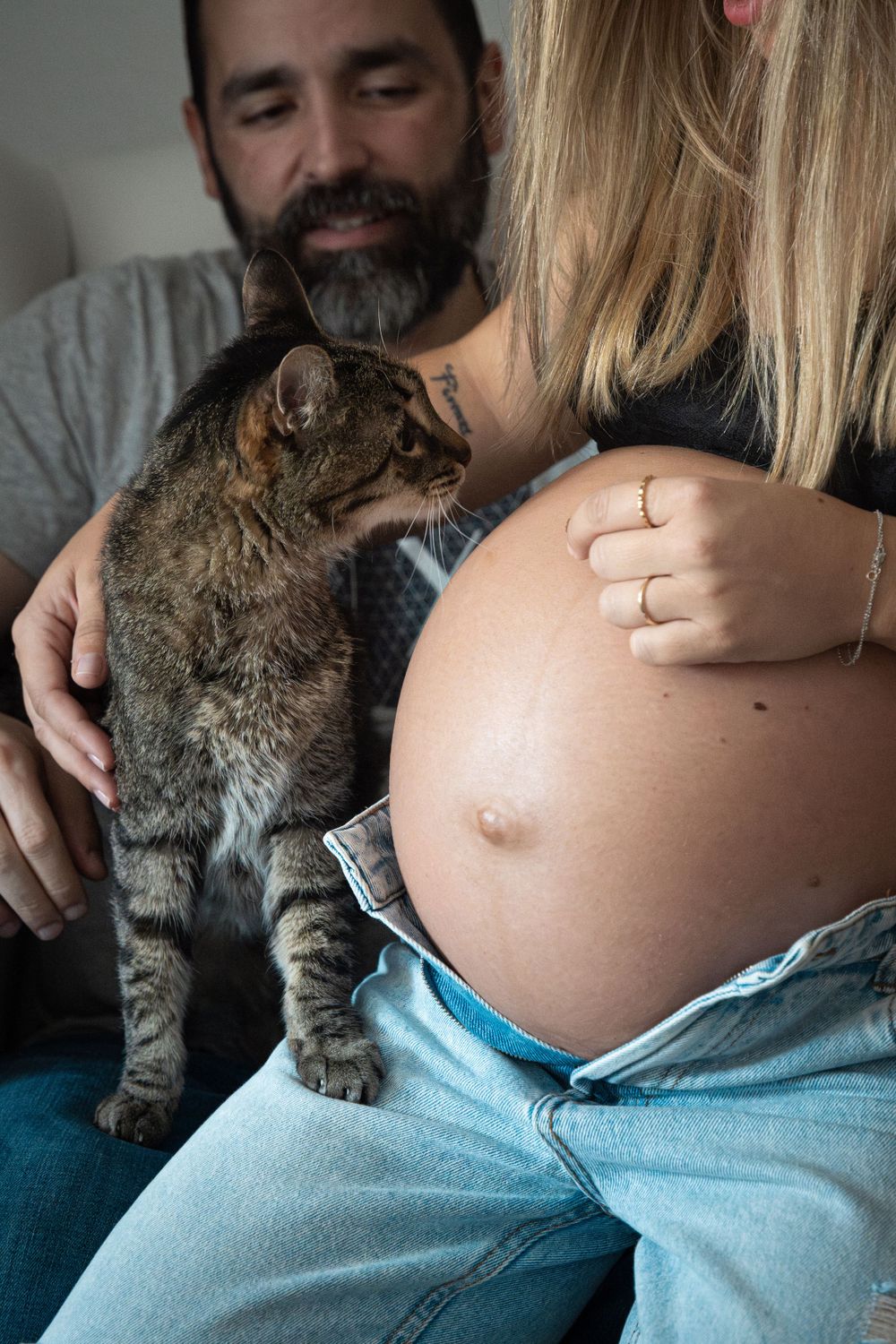 fotografía de familia multiespecie y embarazo, gato