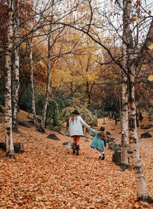 Two people walking through a birch forest with fallen autumn leaves.
