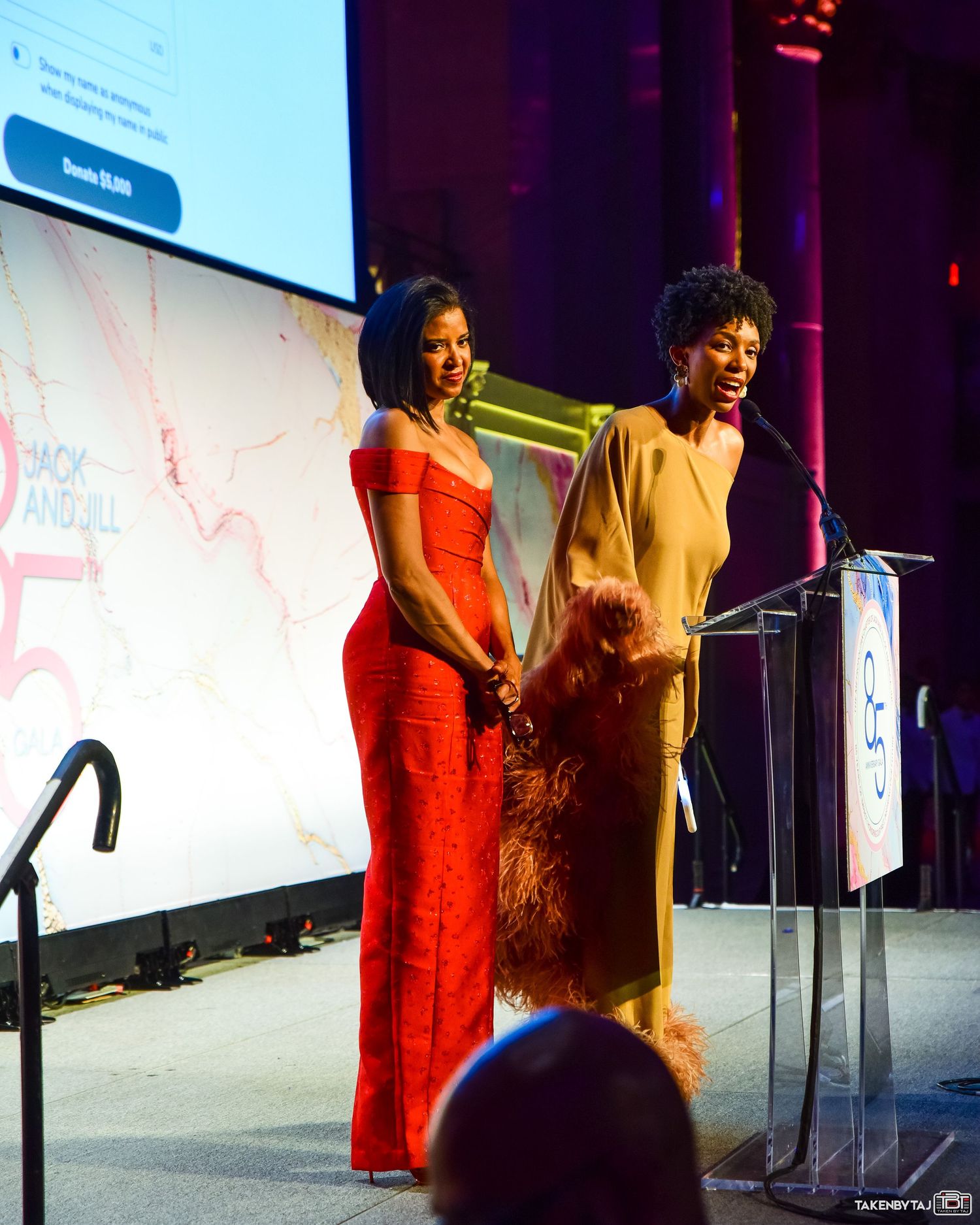 SYTES MEDIA INC - CORPORATE EVENTS - JACK AND JILL OF AMERICA - PIC 5