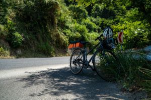 Bicycles parked along a shaded path surrounded by lush green vegetation.