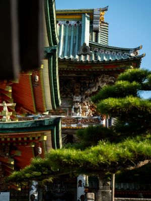 Traditional Asian temple architecture with ornate green roofs and pine trees in the foreground.