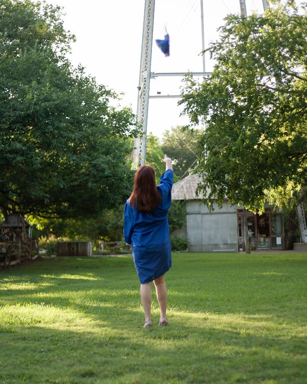 A sequence of photos showing someone in a blue graduation gown walking across a sunlit grassy yard.