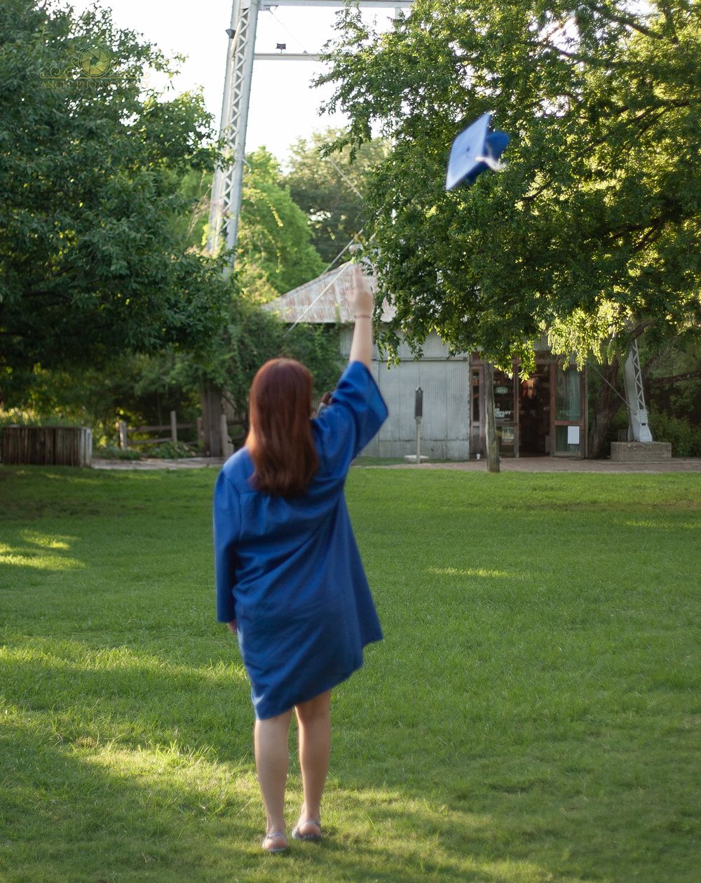 Graduate in blue cap and gown celebrates outdoors with a series of joyful poses in a grassy area.