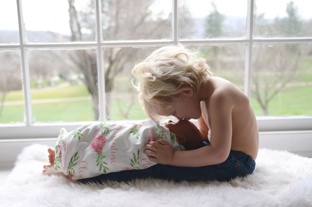 Sunlit window with sheer curtains creates bright natural lighting in interior room setting.