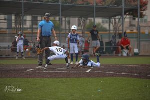 Dallas Tigers organization game shot by Nicole Banet Photography.
