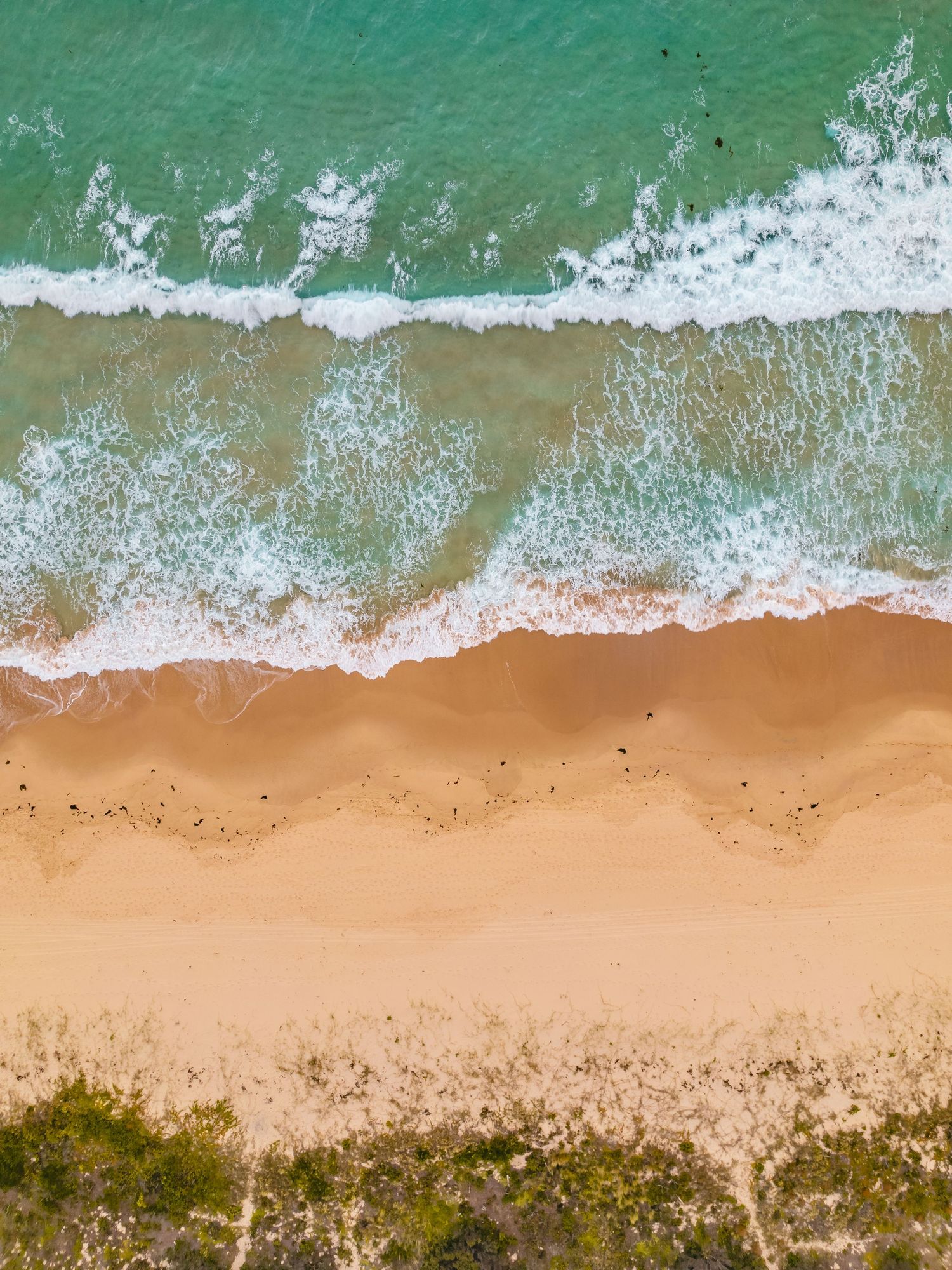 Aerial beach landscape showing turquoise waves meeting golden sand with natural vegetation.