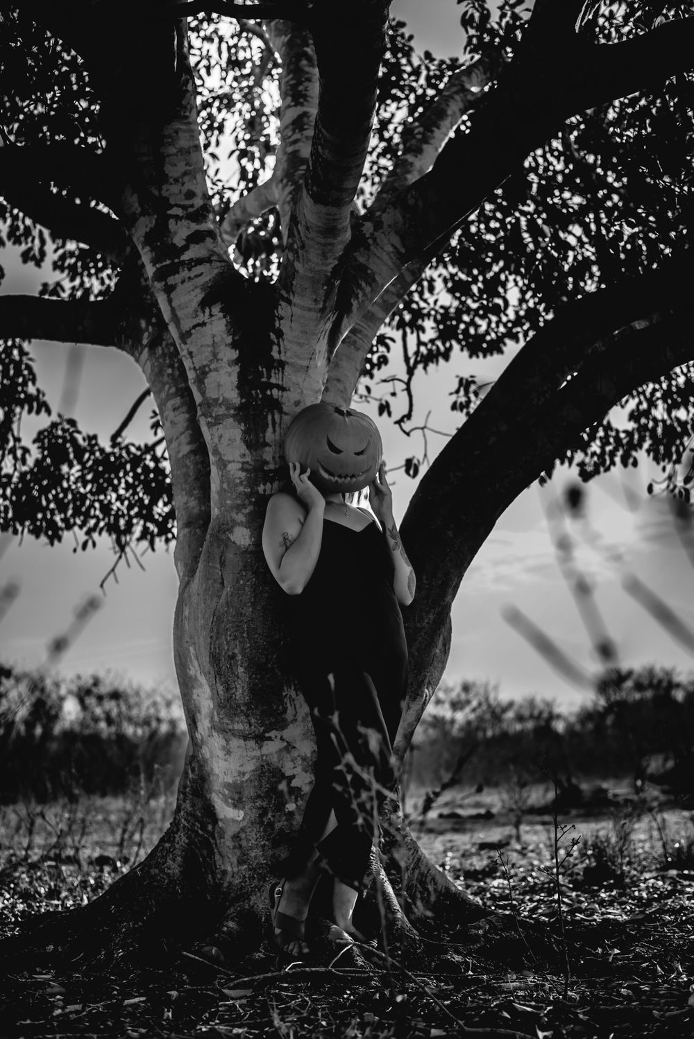Spooky black and white photo of person with pumpkin head leaning against large tree.
