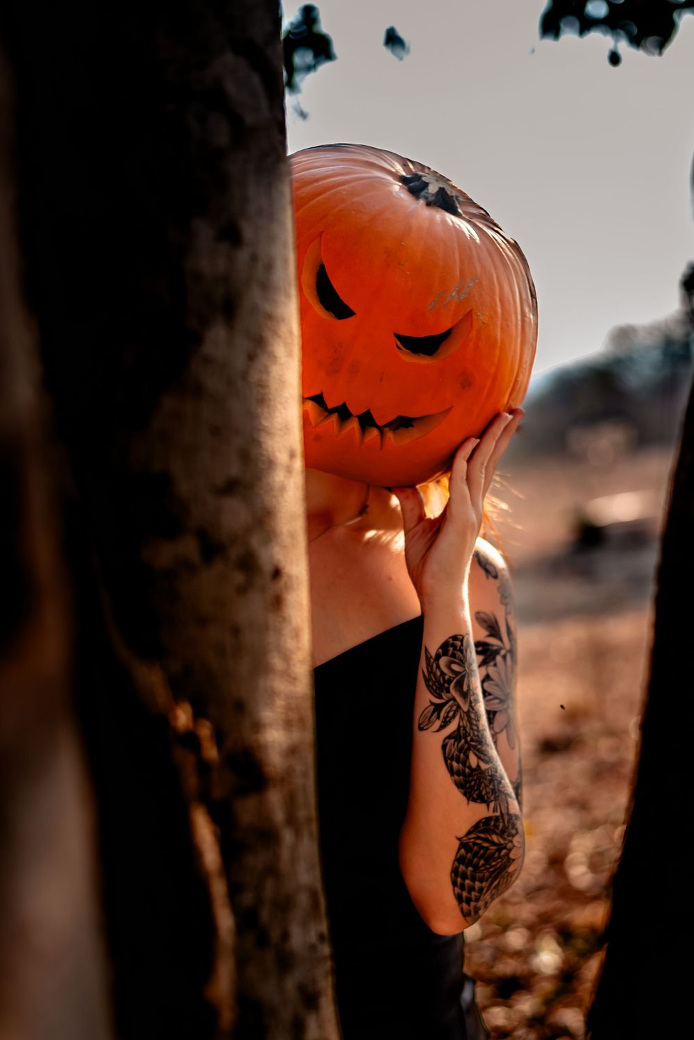 Carved Halloween pumpkin with sinister face held near tree trunk at sunset.