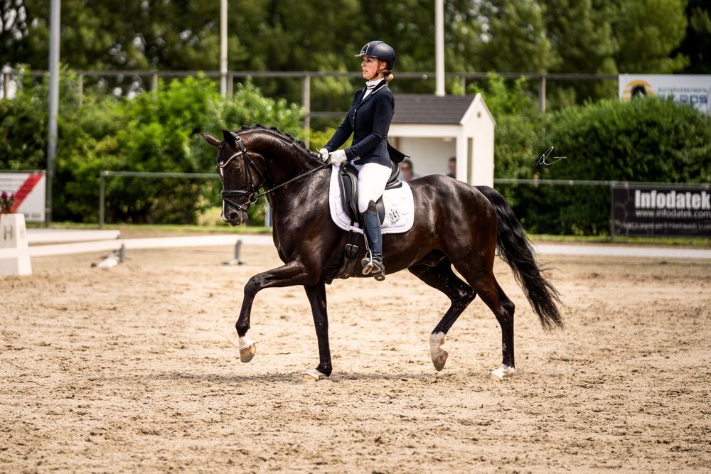 A dressage rider in formal attire performs on an elegant black horse in a sandy outdoor arena.