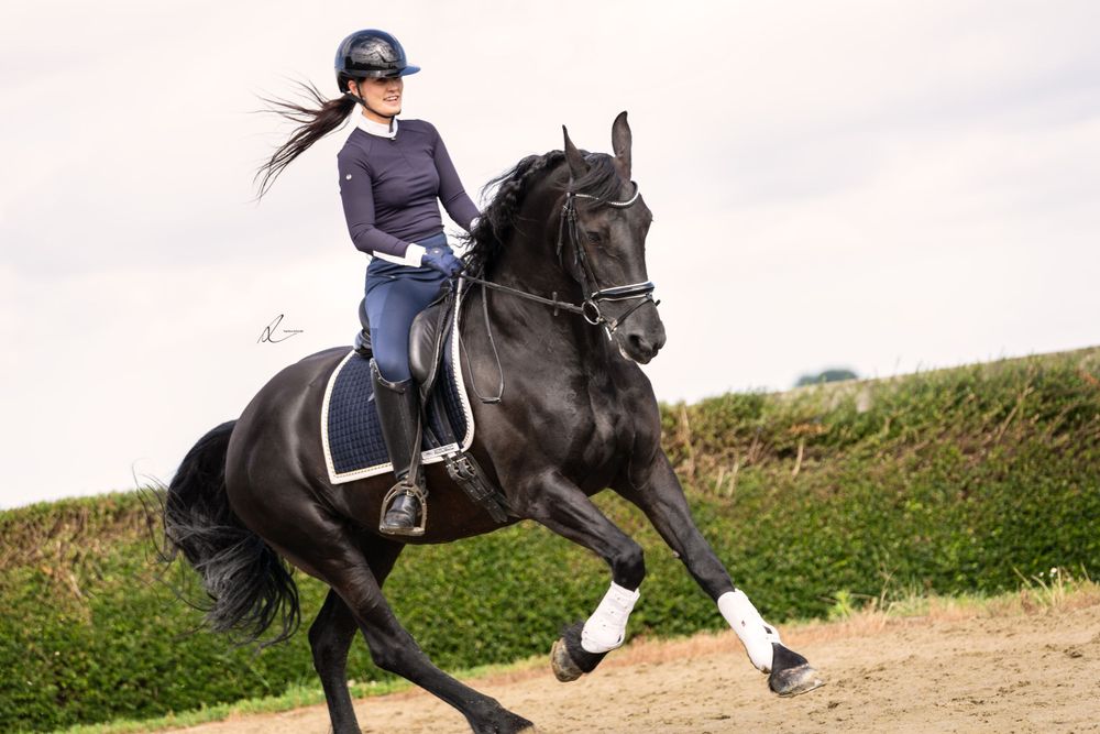 A rider guides a black horse in a dressage position while exercising on a grassy slope.