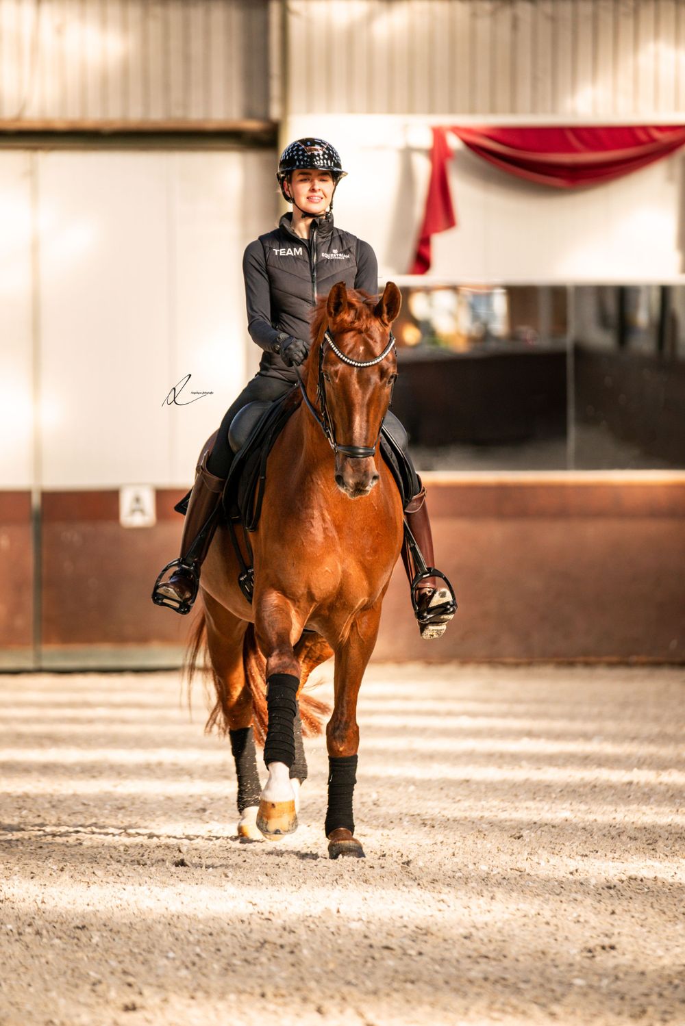 Equestrian rider in black attire performing dressage on a chestnut horse in an indoor arena.