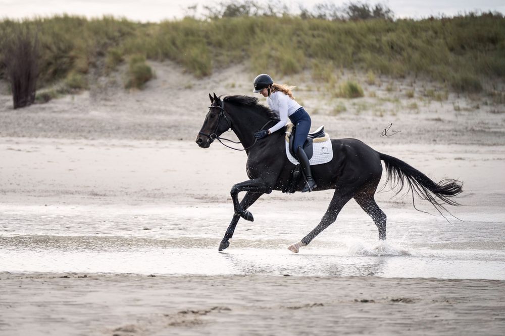 A black horse and rider galloping across a sandy beach during a seaside equestrian training session.