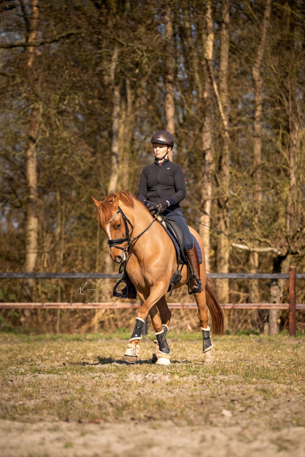 Equestrian riding a chestnut horse in professional dressage gear performs exercises in an outdoor arena.