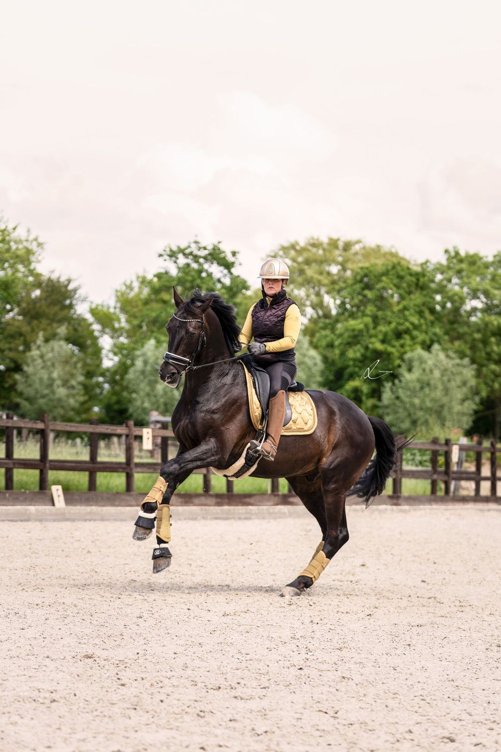 A smiling rider in helmet and vest canters a dark bay horse in an outdoor sand arena with wooden fencing.