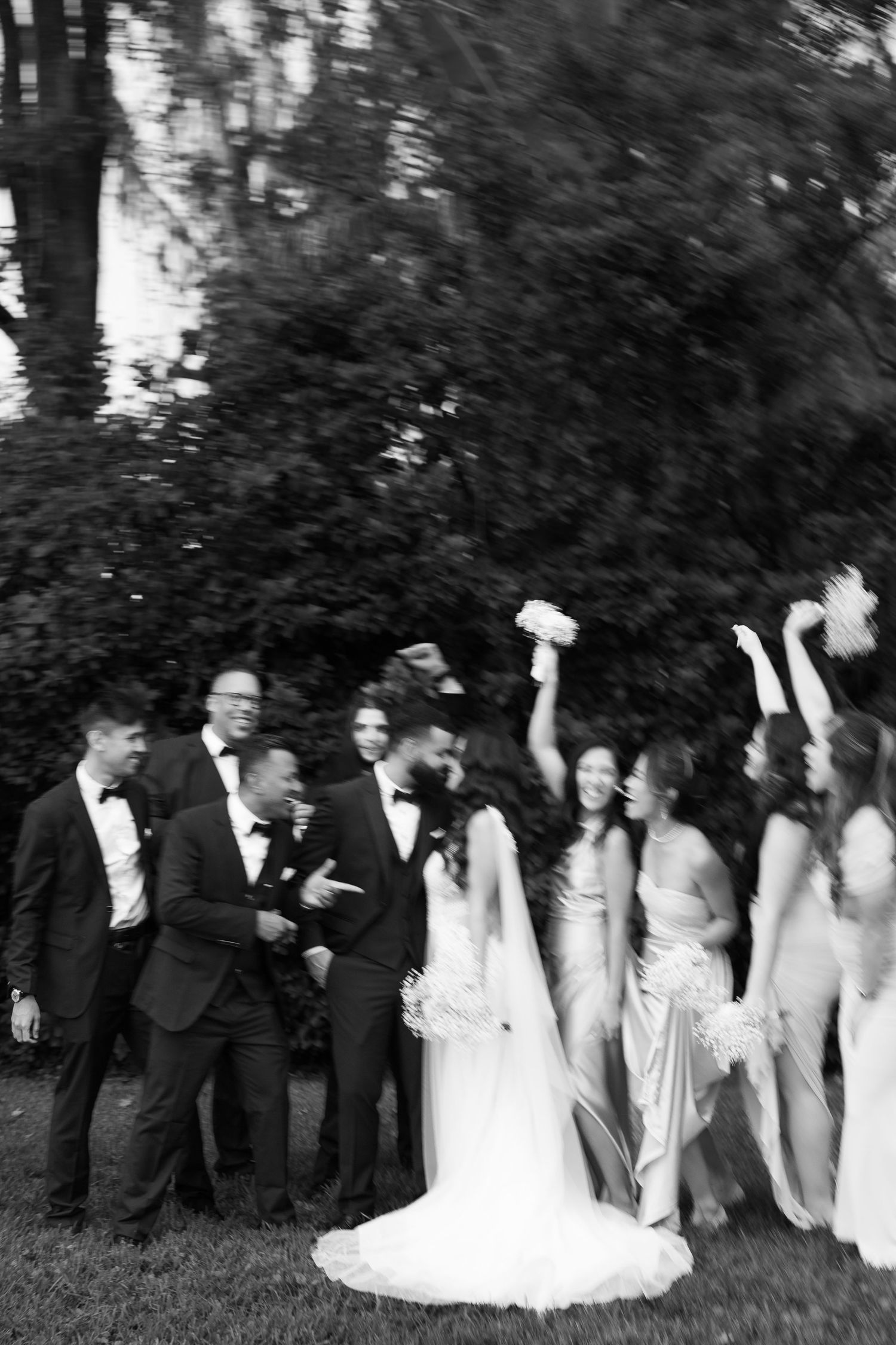 Wedding photo of the bride and groom with the groomsmen and bridesmaids