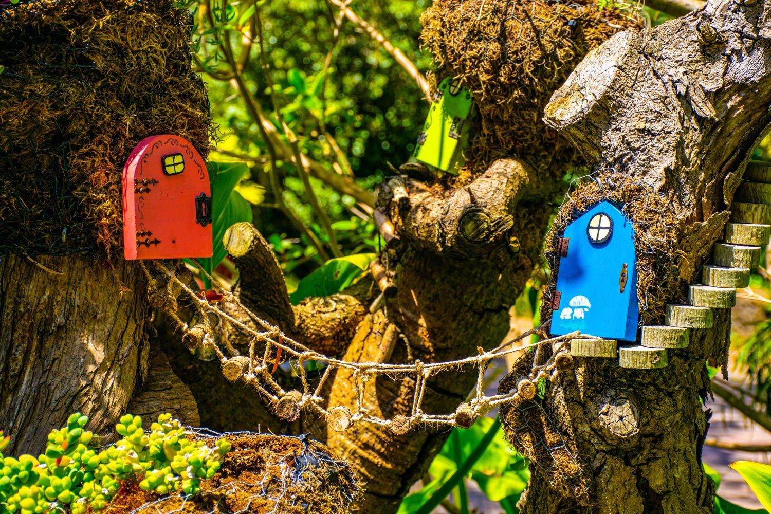 Whimsical red and blue fairy doors mounted on a tree trunk with tiny steps between them.