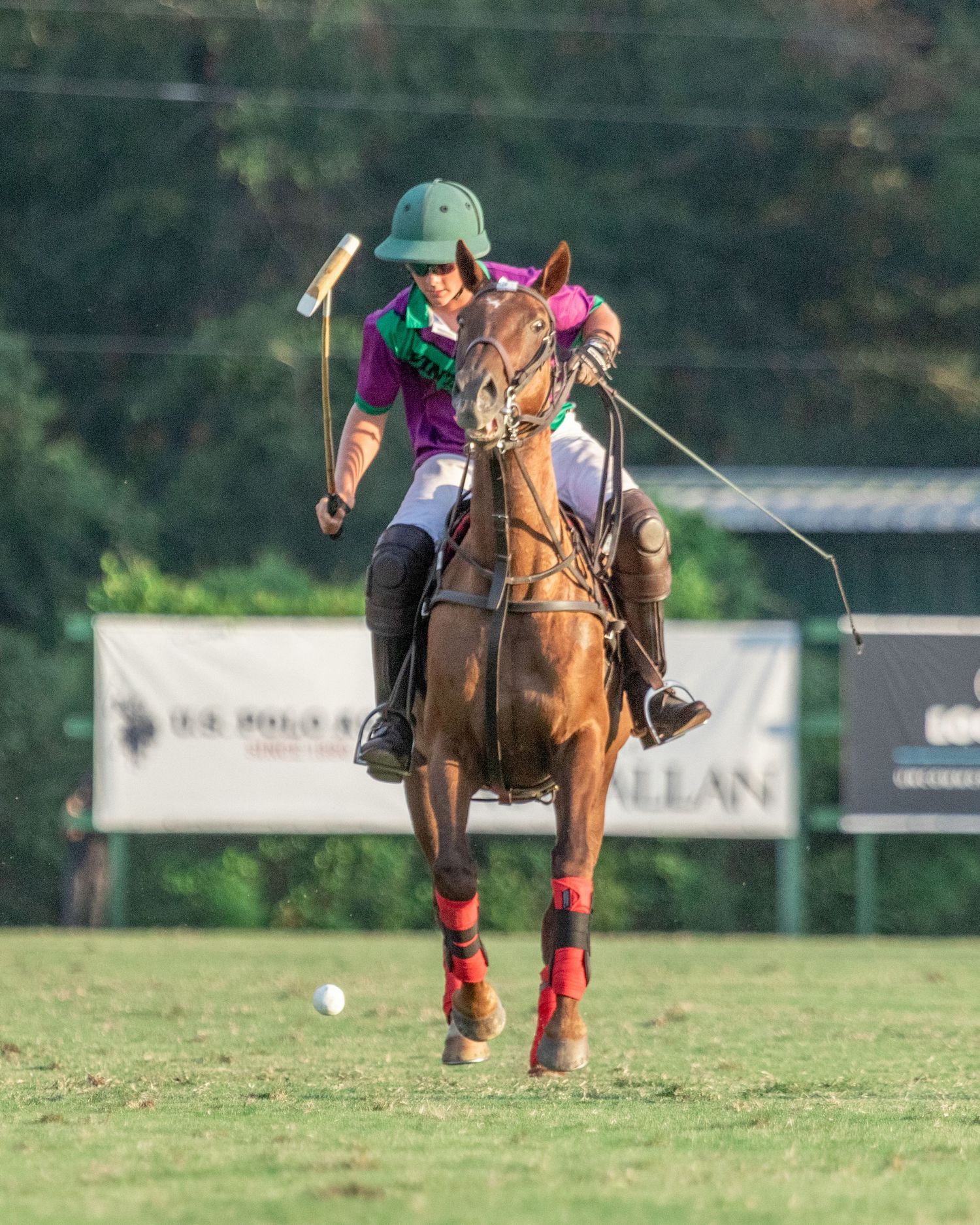 Polo