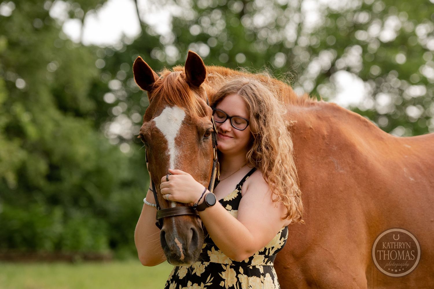 A chestnut horse with white markings nuzzles close in a summer field setting.