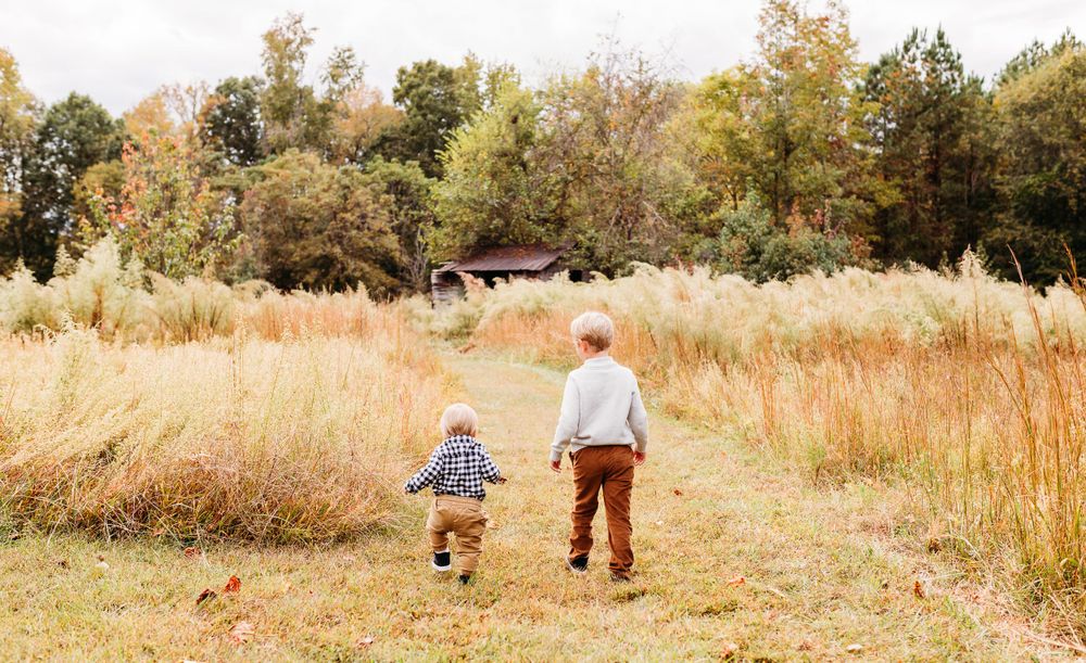 A series of autumn landscape photos showing people walking through golden meadows and tall grasses at sunset.