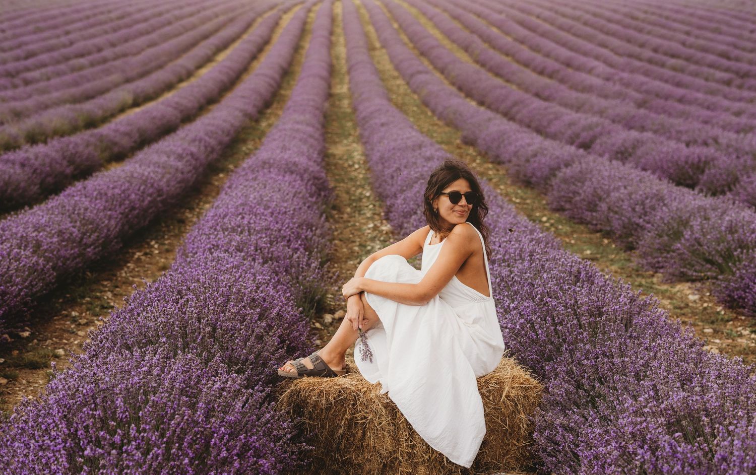 Someone in a white dress sits on a hay bale surrounded by rows of blooming purple lavender flowers in a field.