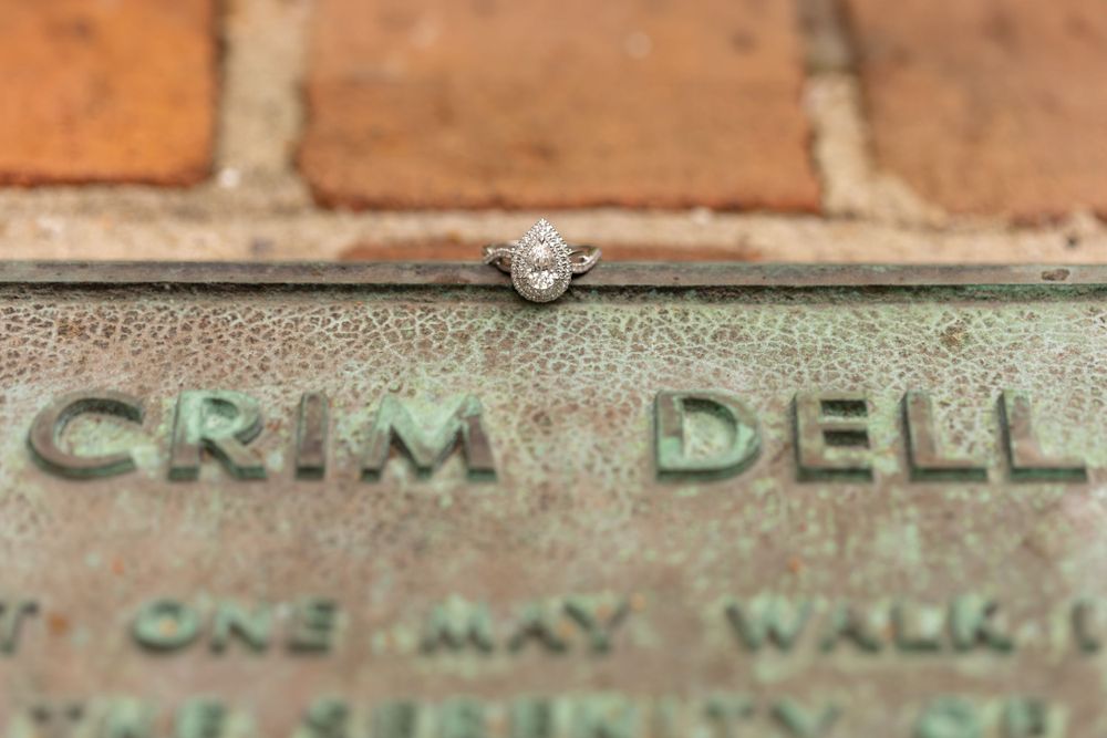 Crim Dell signage at iconic proposal spot in Williamsburg Virginia