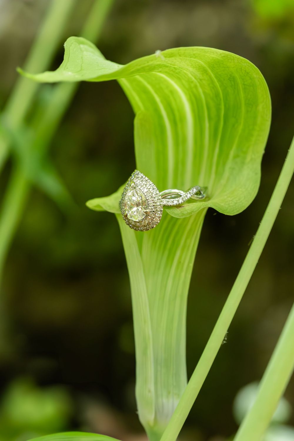 Unique engagement ring closeup after Williamsburg surprise proposal