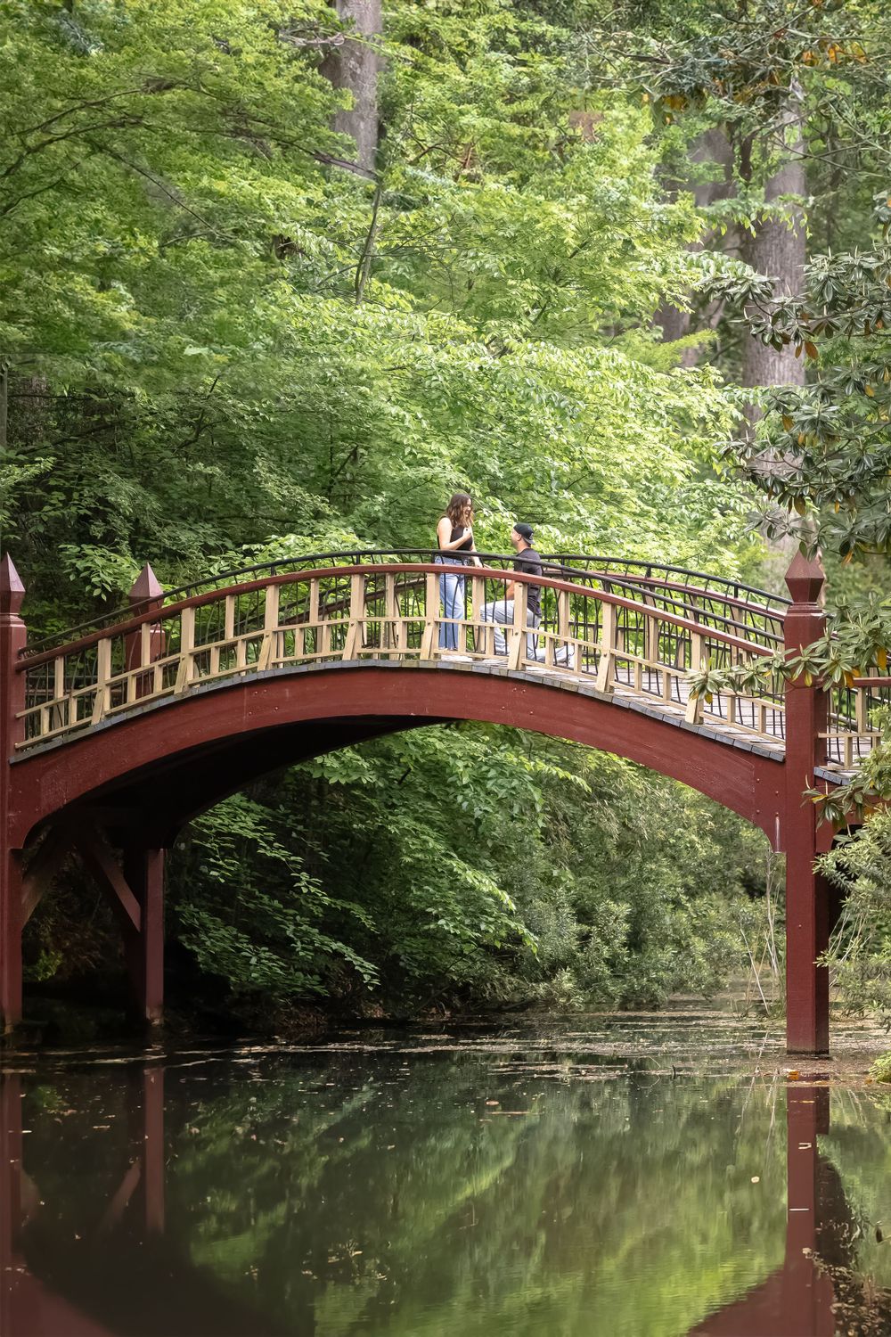 surprise proposal at Crim Dell Williamsburg Virginia
