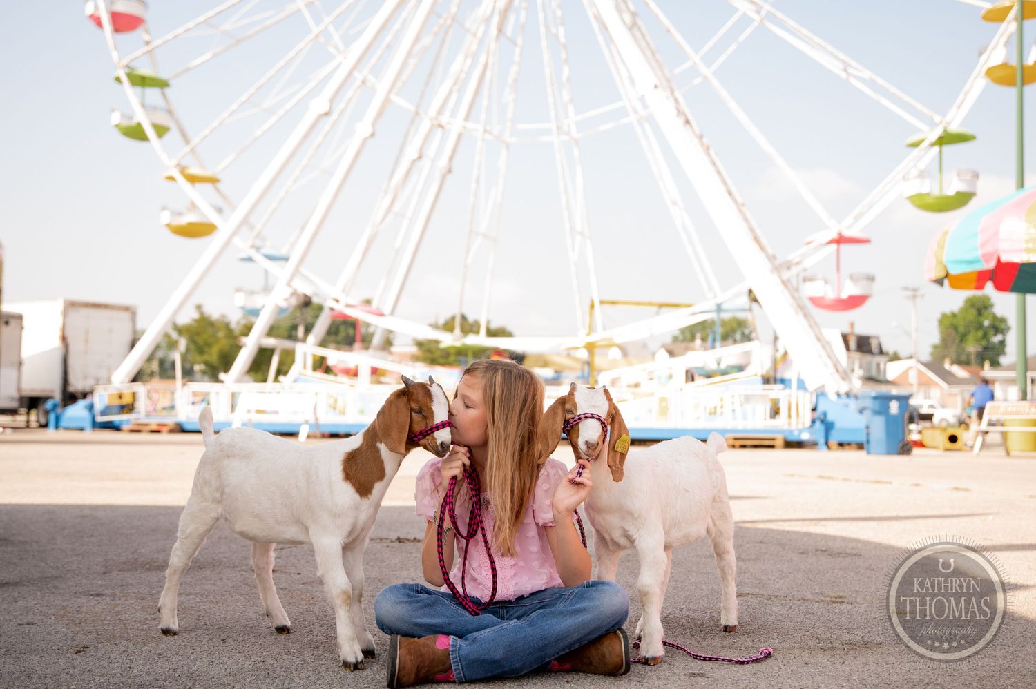 Two white goats sit with someone in front of a large ferris wheel at a carnival.