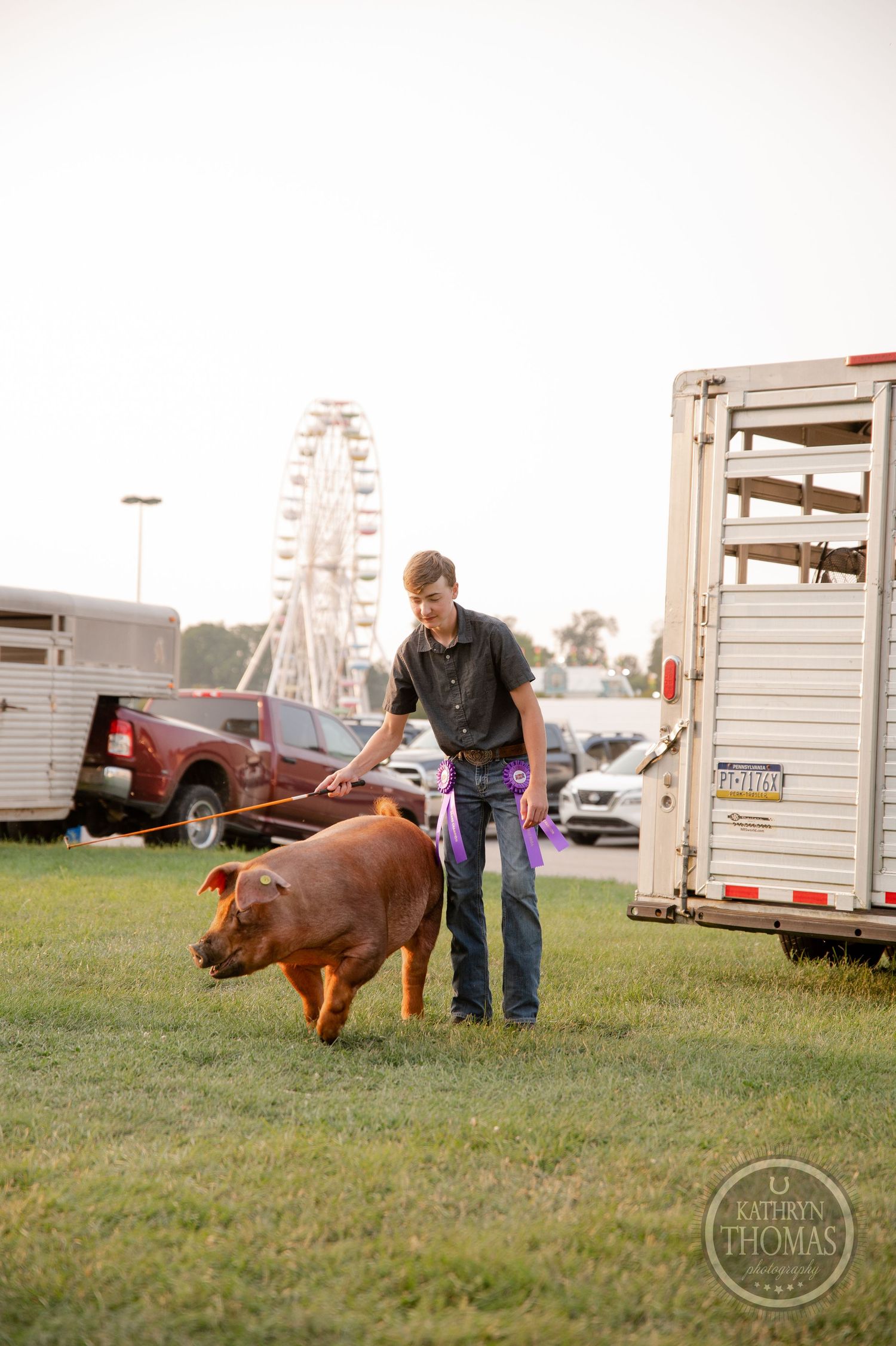 Red show pig being led on fairgrounds with trailers and ferris wheel visible.