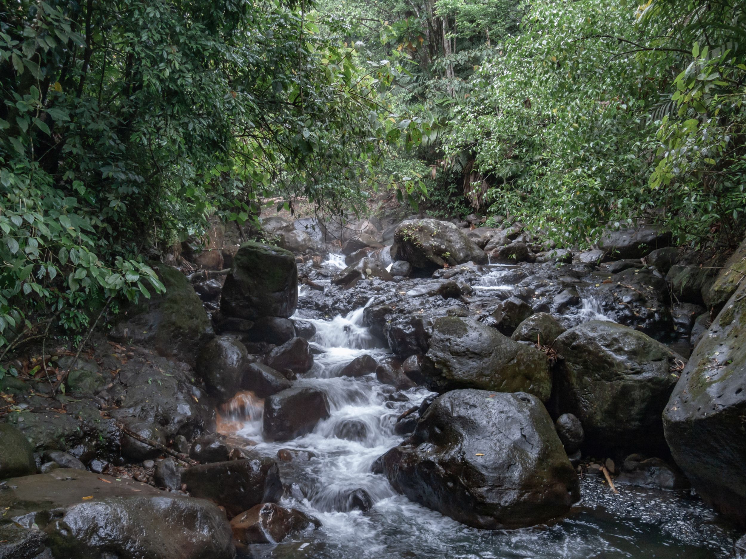 Rocky mountain stream cascading over boulders surrounded by lush forest vegetation.