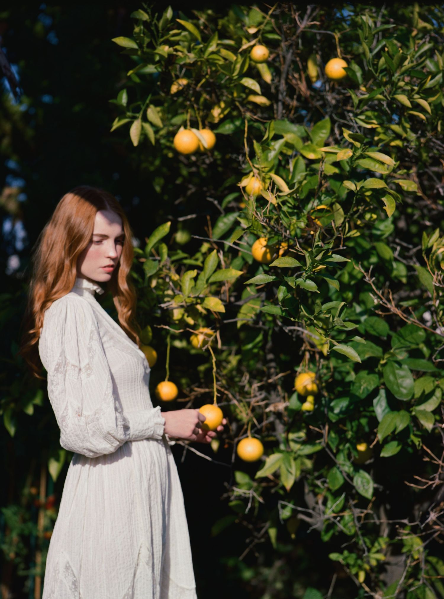 Woman in vintage white dress standing by citrus tree in golden sunlight.