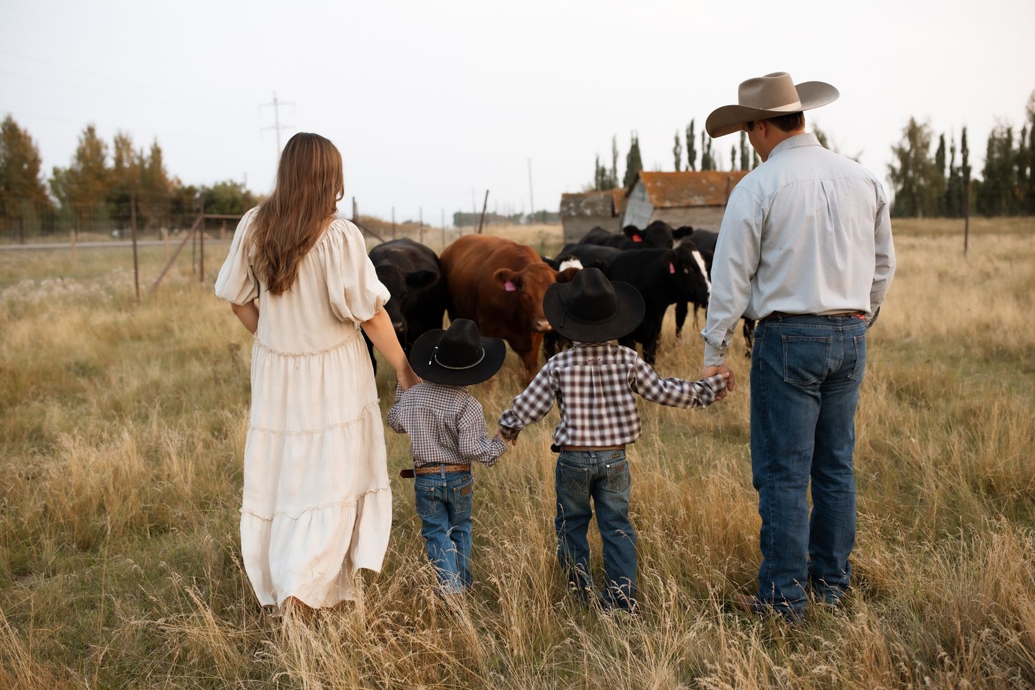 Edmonton Maternity Photography, Edmonton Newborn Photographer, Edmonton Baby Photography