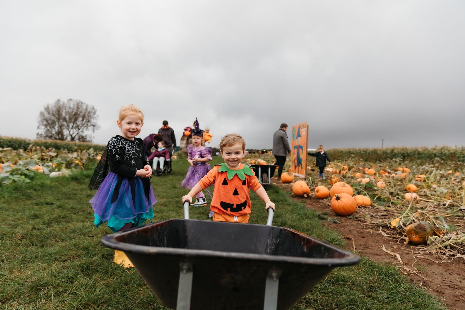 A group plays in a pumpkin patch on an overcast autumn day with hay bales and scattered pumpkins. Photographer. Hull. East Yorkshire. Photo