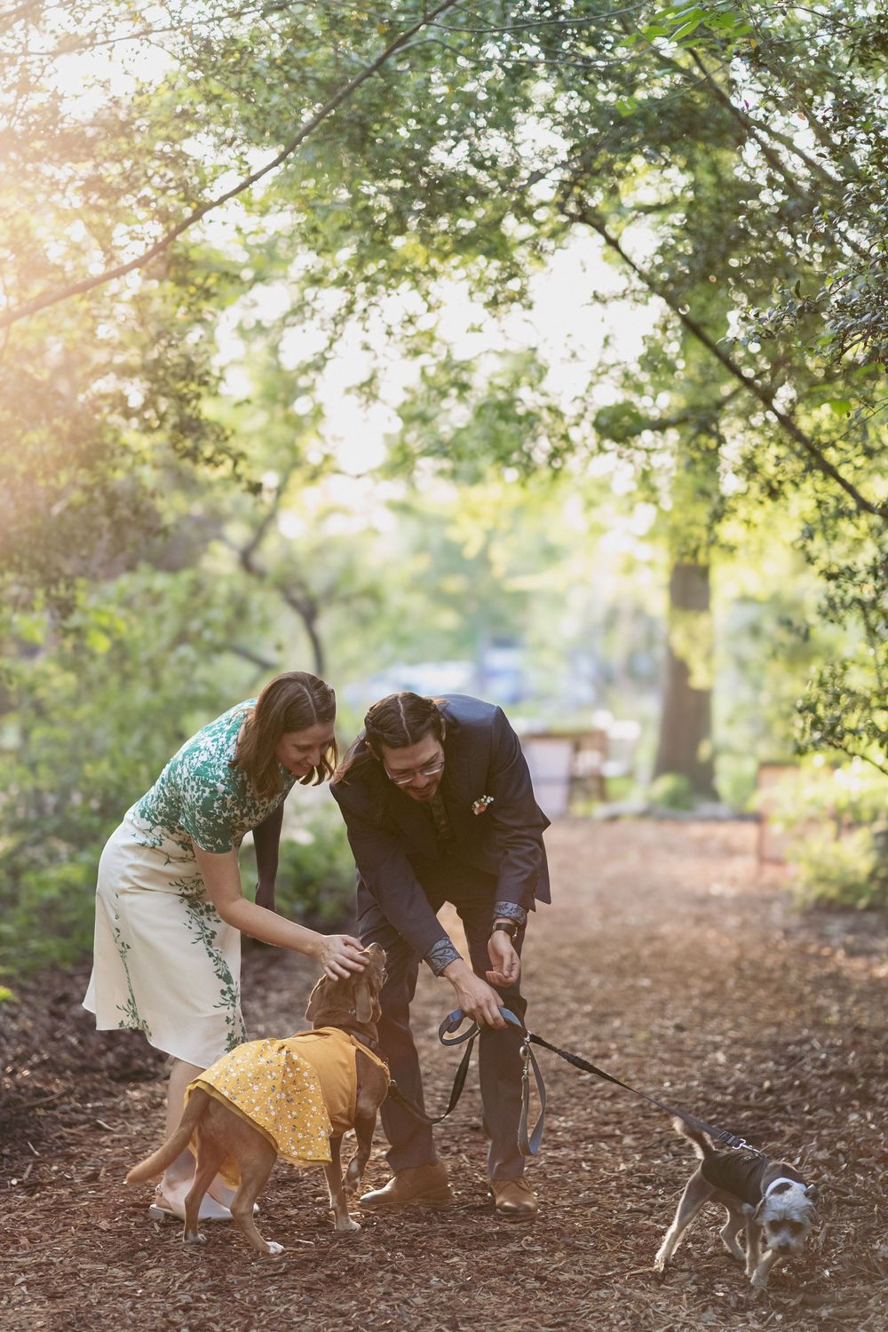 A couple plays with their dogs on a dirt path under sunlit trees in a park setting.