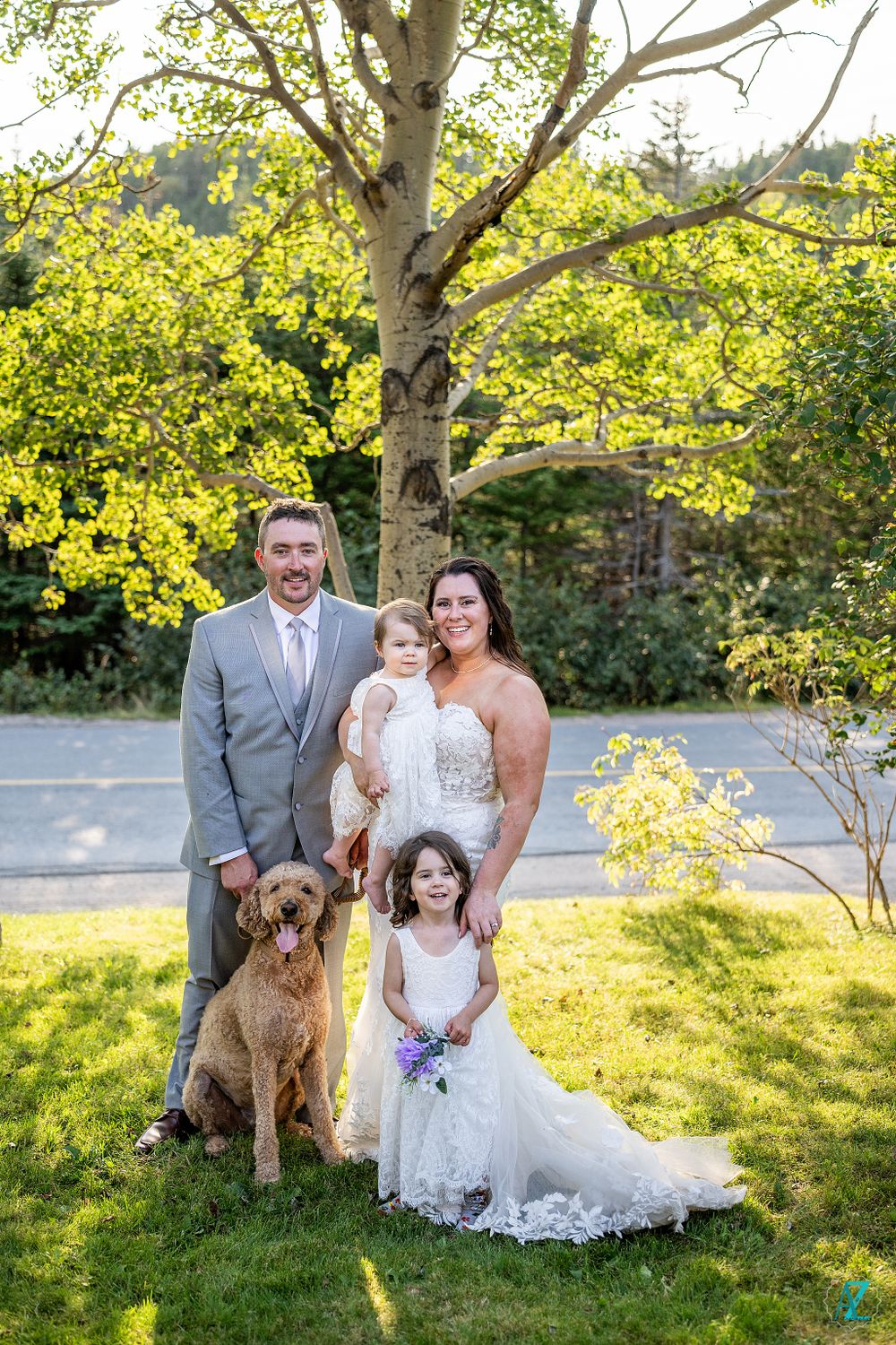 A joyful wedding portrait under birch trees with a brown dog joining the celebration.
