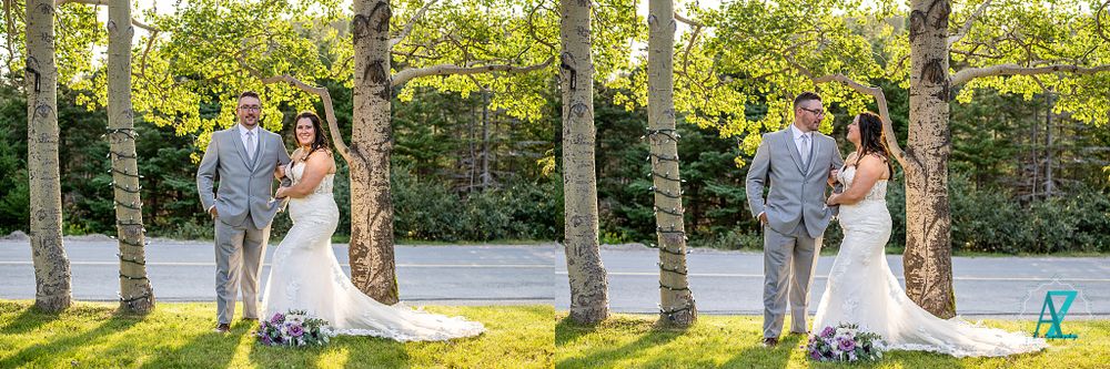 A beautiful wedding photo set captured against a backdrop of birch trees at sunset.