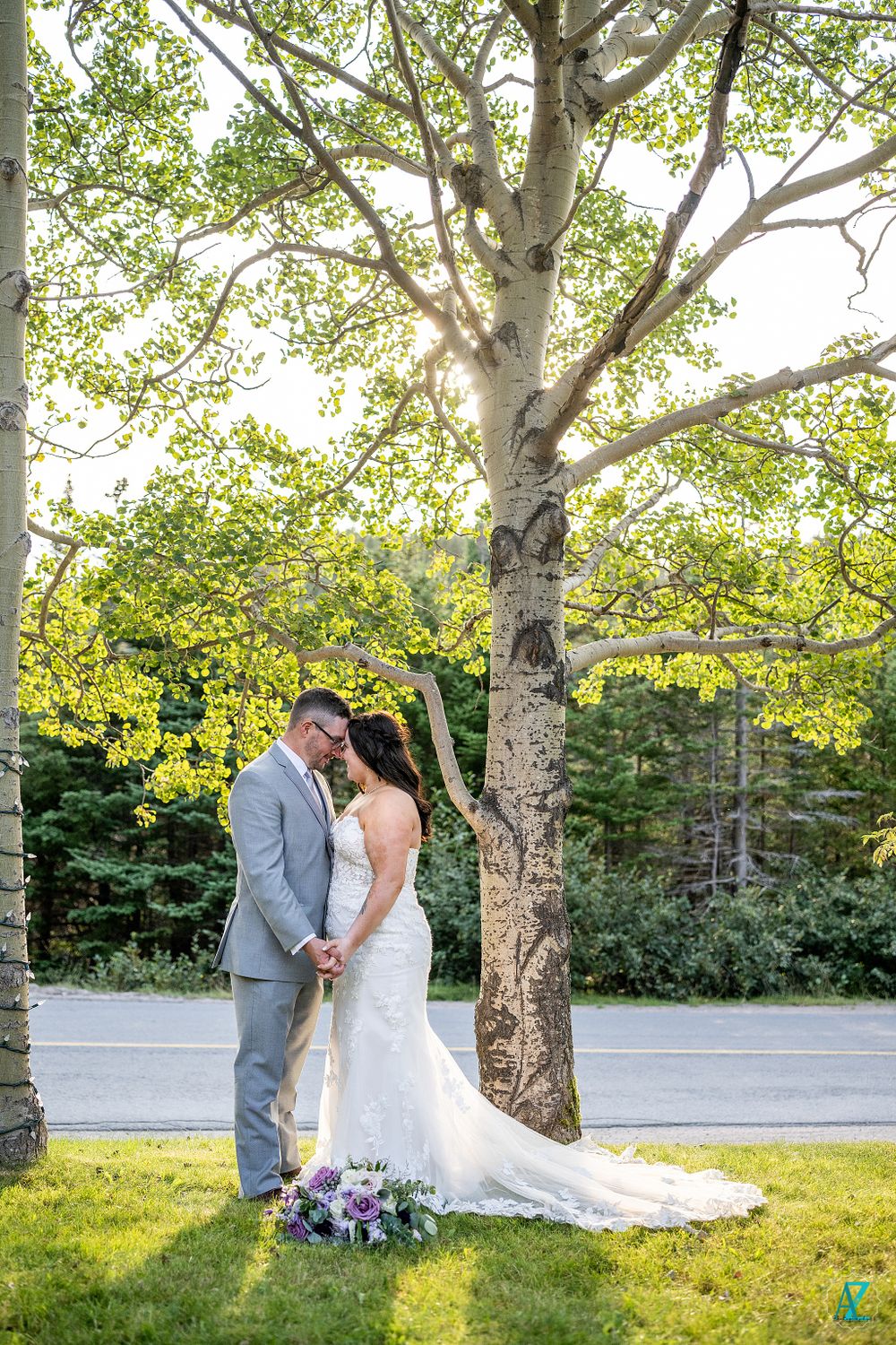 Beautiful wedding photo beneath a majestic birch tree in a sunlit garden setting.
