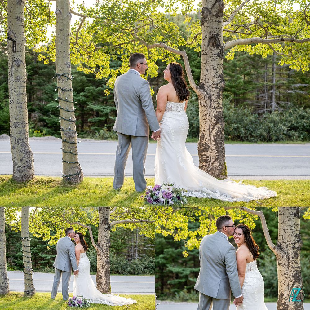 Wedding couple shares a tender moment under birch trees in golden afternoon sunlight.