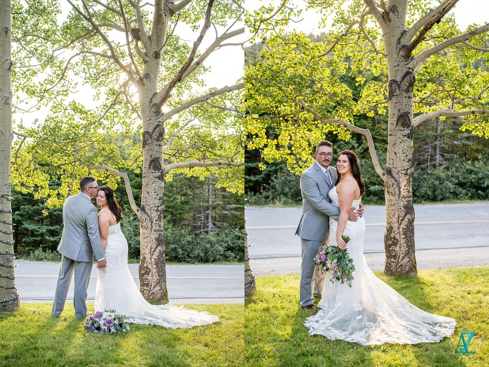 Romantic wedding portraits in a natural setting with birch trees and sunlit backdrop.