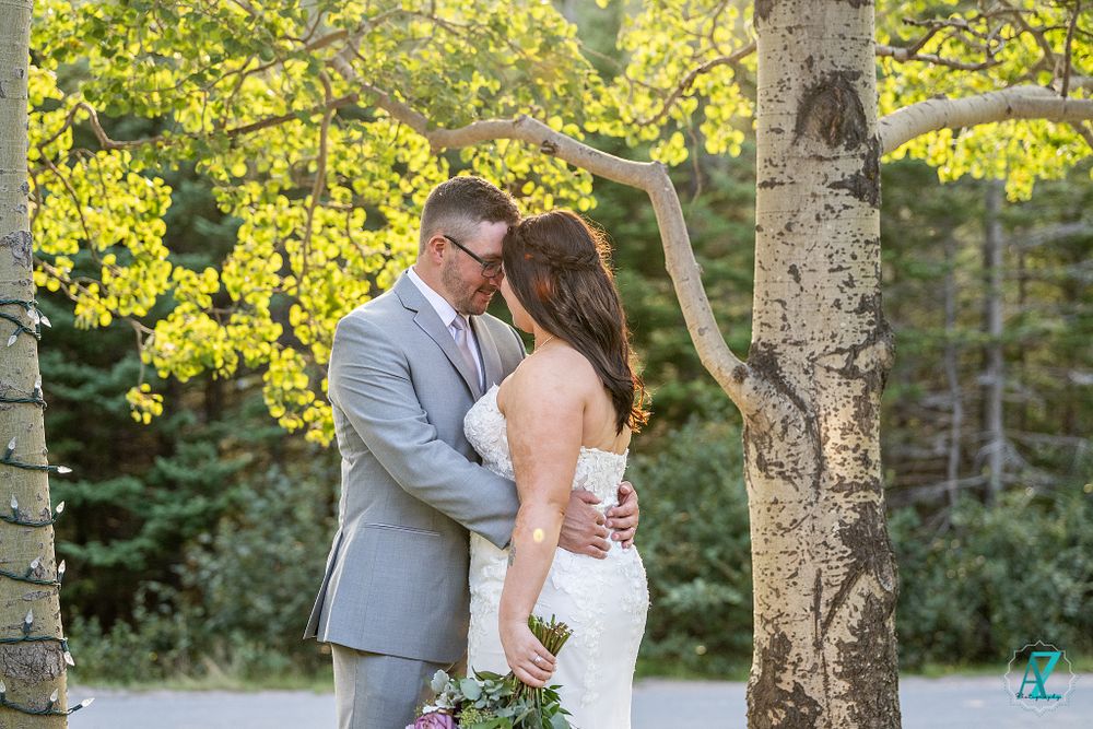 Intimate wedding moment captured under sunlit birch trees on a garden path.