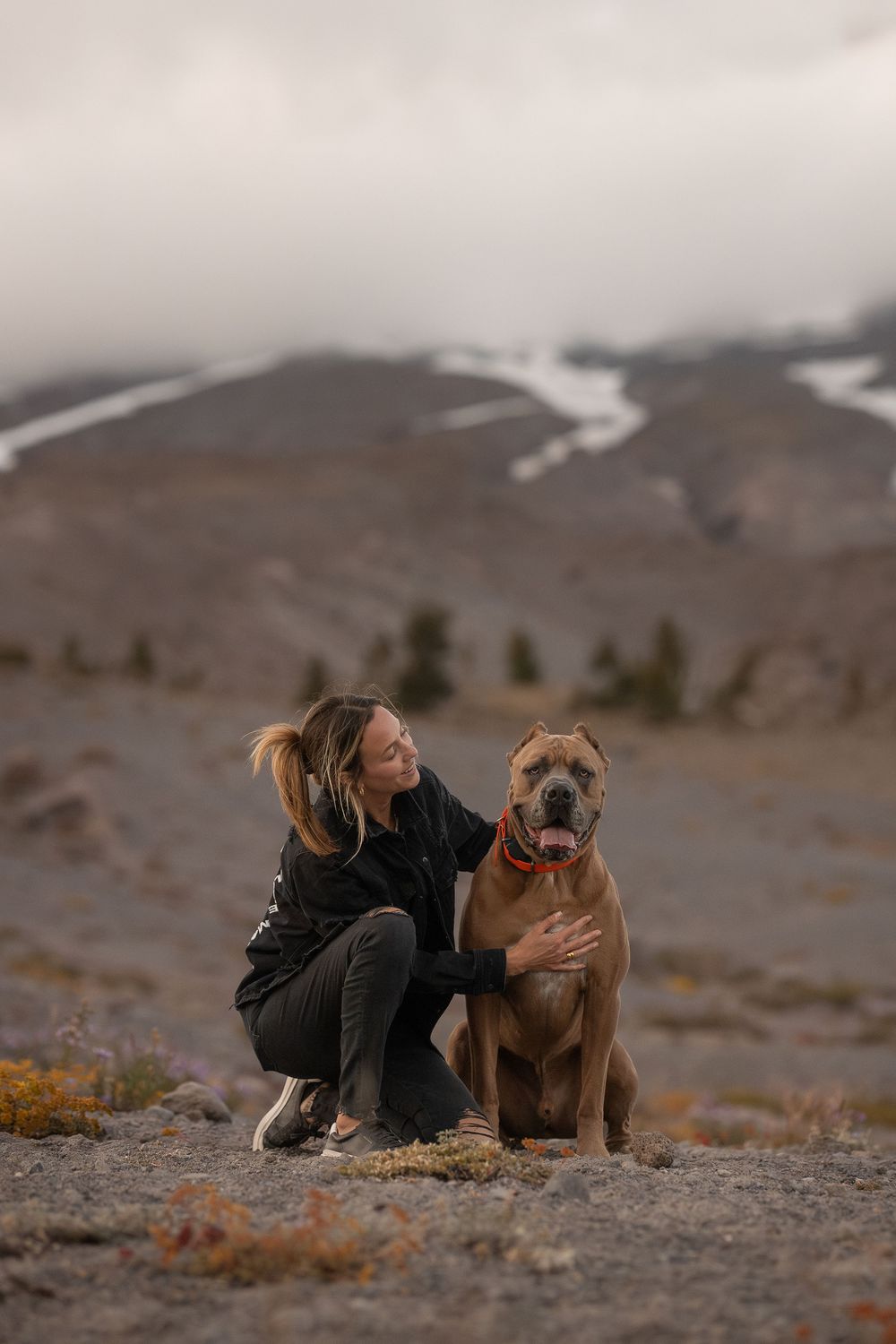 Cane Corso and human posing at Mt Hood