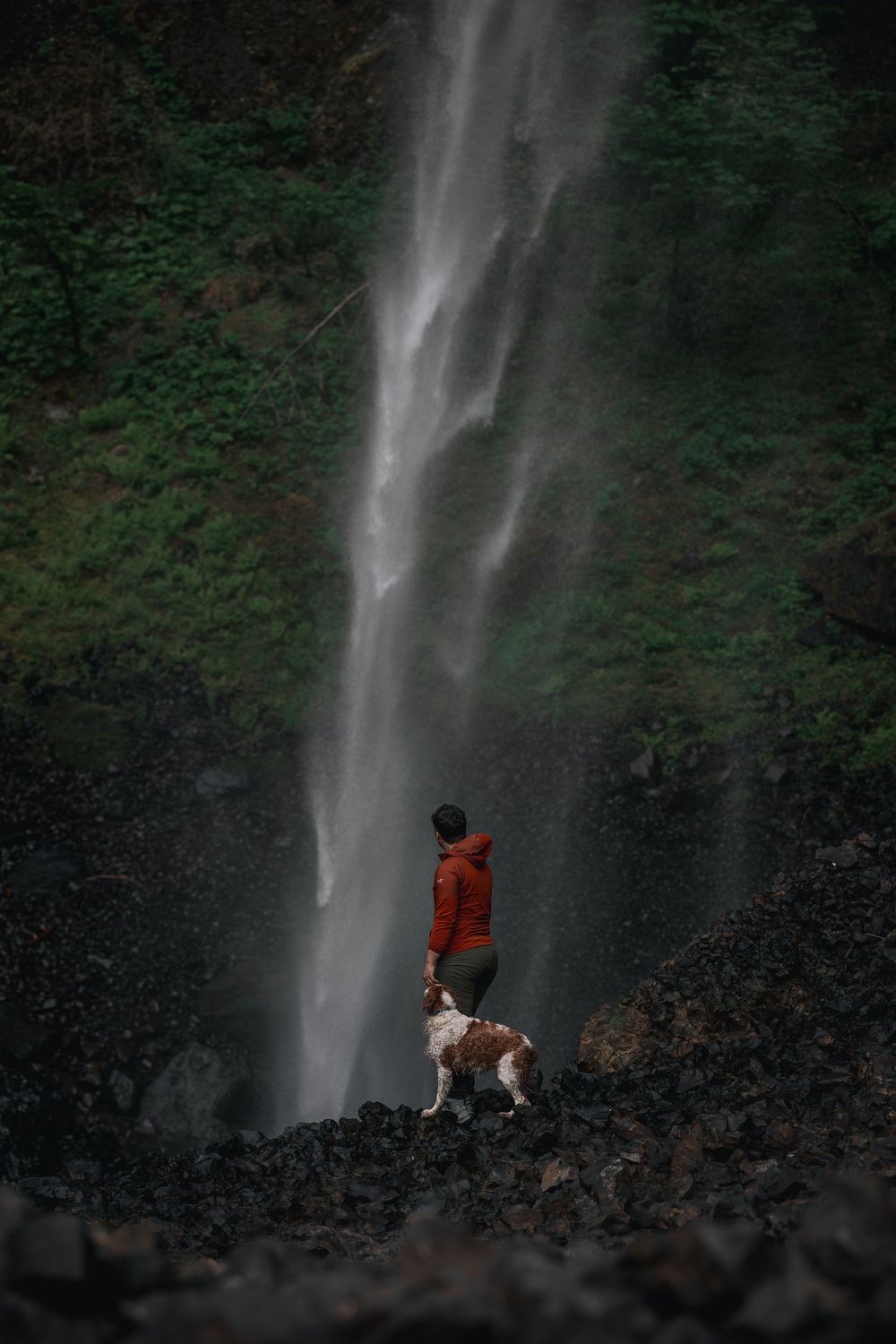 Dog photographer in Portland Oregon. Dog at waterfall