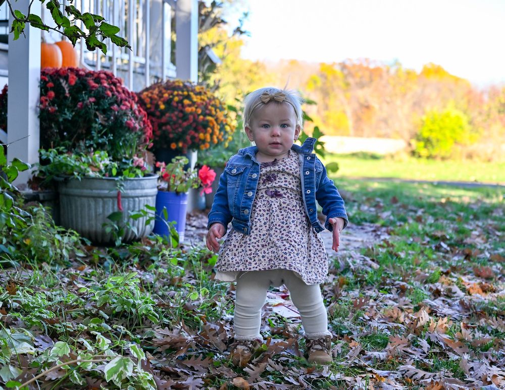 Toddler in a denim jacket and floral dress stands on a leaf-covered lawn beside potted orange mums on a sunny autumn day.