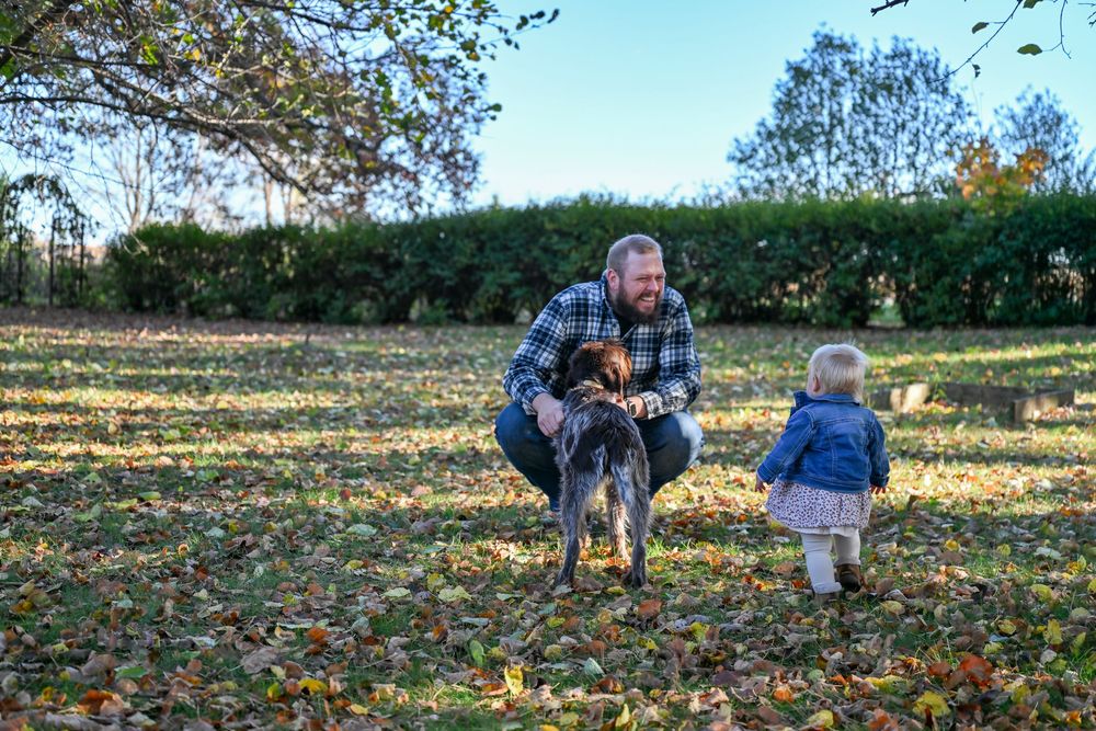 Bearded man in a plaid shirt crouches in a sunlit autumn park petting a dog while a toddler in a blue jacket looks on.