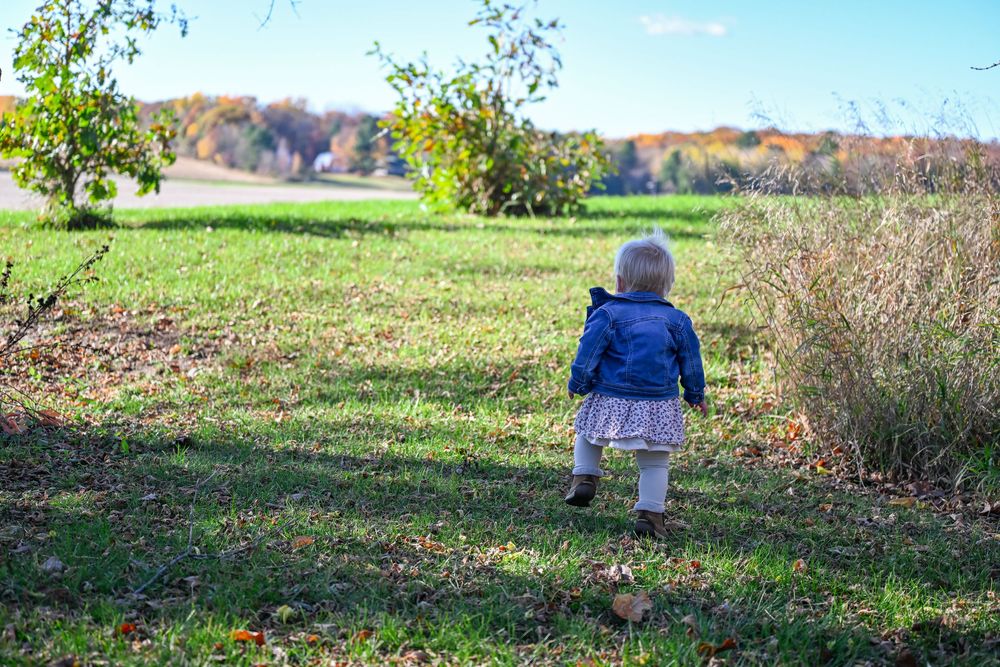 Toddler in a denim jacket and tutu skirt walks across a sunny grassy field toward trees showing colorful autumn foliage.